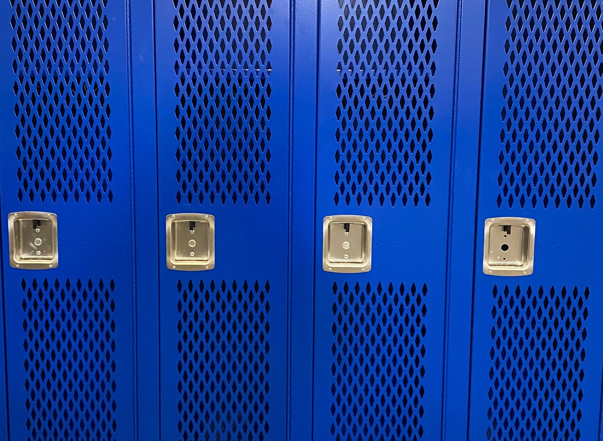 Public Schools (IDEA Compliance)