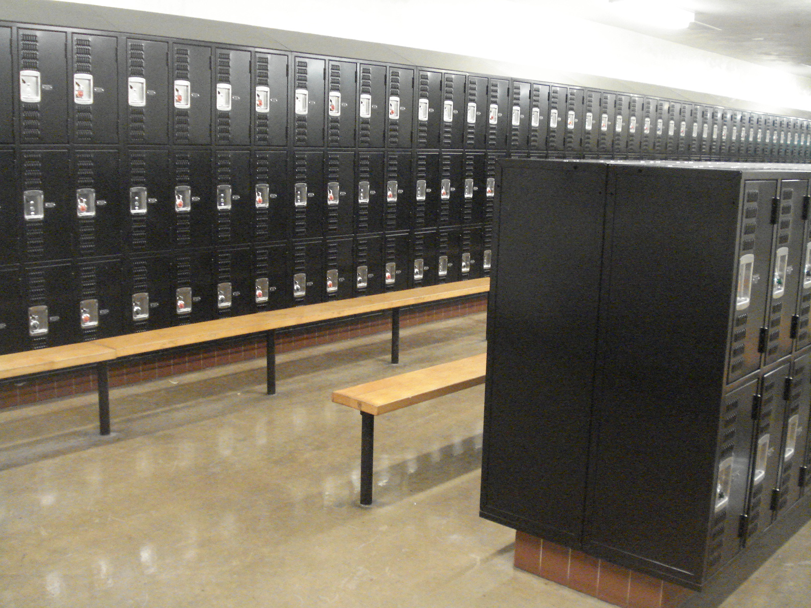 ADA-Compliant Accessible Locker
