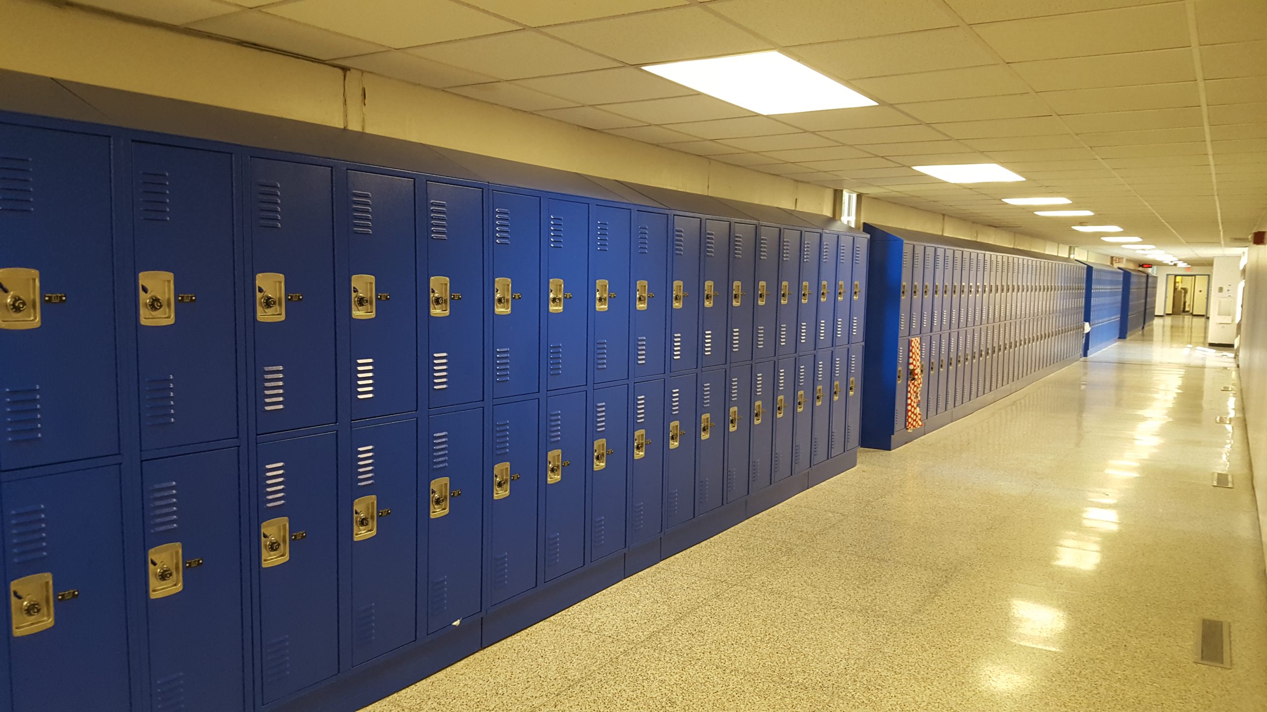 Outdoor Weatherproof Locker